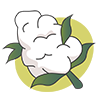 Weed CBD