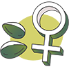 Féminisées